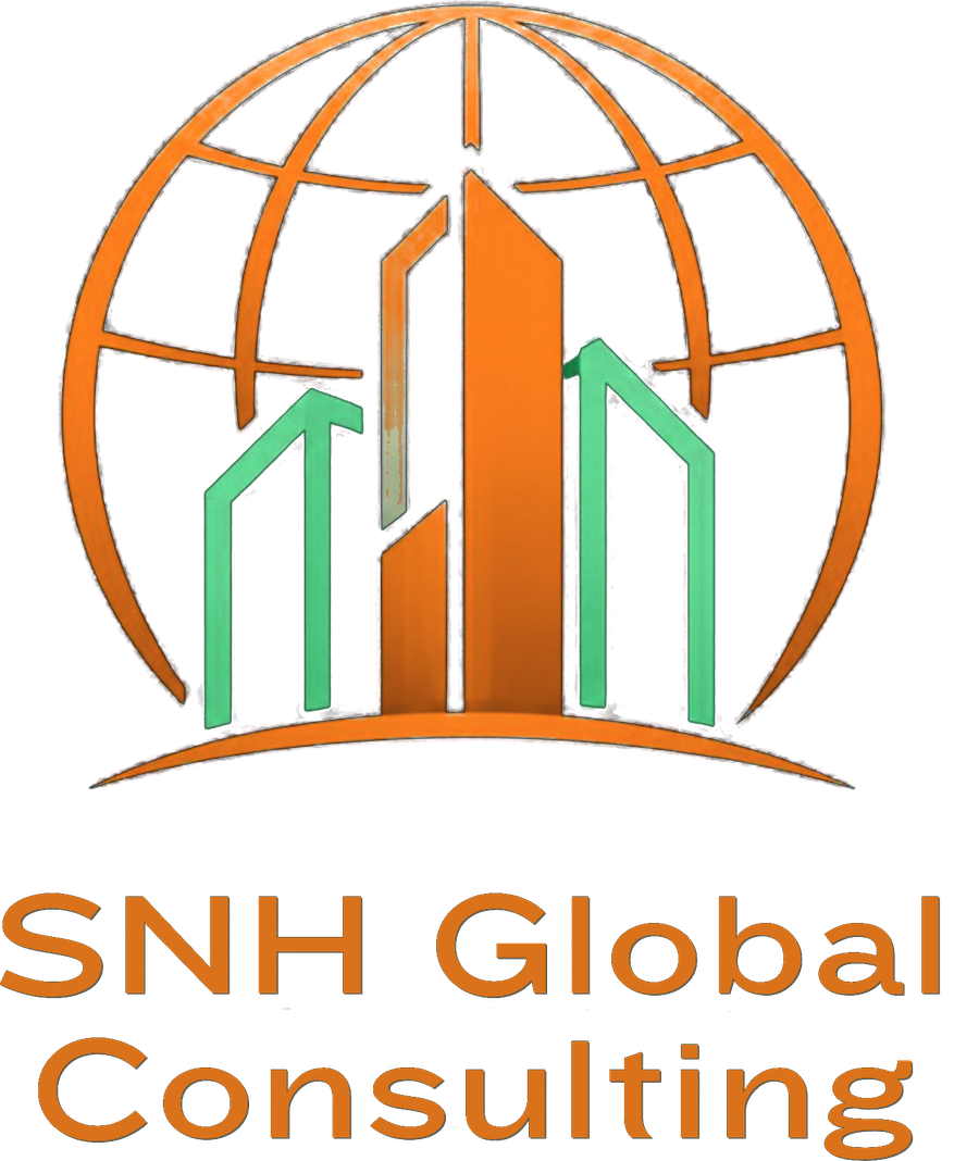 SNH Global Consulting — a globe over three towers
